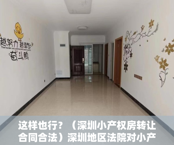 这样也行？（深圳小产权房转让合同合法）深圳地区法院对小产权房转让合同效力认定的态度演变及法律困境，深圳小产权房可以转让吗，