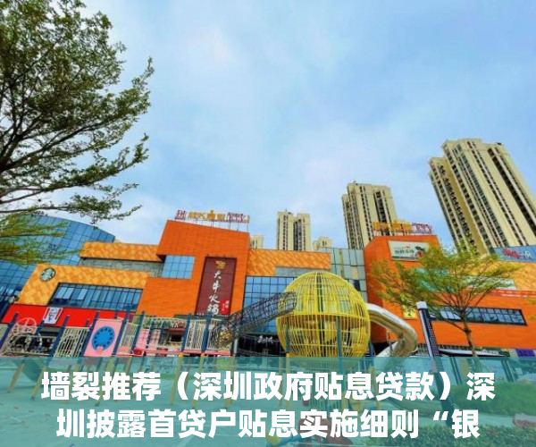 墙裂推荐（深圳政府贴息贷款）深圳披露首贷户贴息实施细则“银行减免+政府贴息”打破“首贷”难，深圳贷款贴息政府补助，