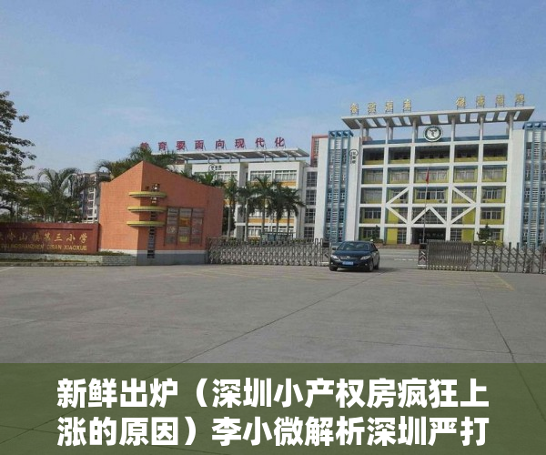新鲜出炉（深圳小产权房疯狂上涨的原因）李小微解析深圳严打小产权房交易！，深圳小产权房大涨，