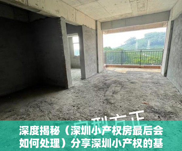 深度揭秘（深圳小产权房最后会如何处理）分享深圳小产权的基本知识。购买需要注意的风险。，深圳小产权房规范管理政策将出台，