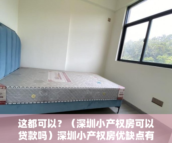 这都可以？（深圳小产权房可以贷款吗）深圳小产权房优缺点有哪些？，深圳小产权房转正被中央叫停，
