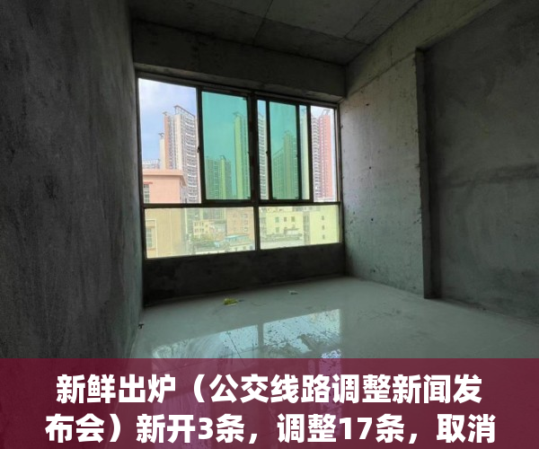 新鲜出炉（公交线路调整新闻发布会）新开3条，调整17条，取消2条！今天起，又有公交线路有变化！_深圳新闻网，公交新线路开通新闻，