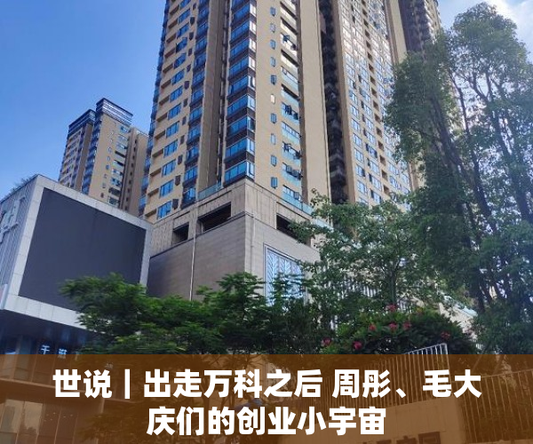 世说｜出走万科之后 周彤、毛大庆们的创业小宇宙