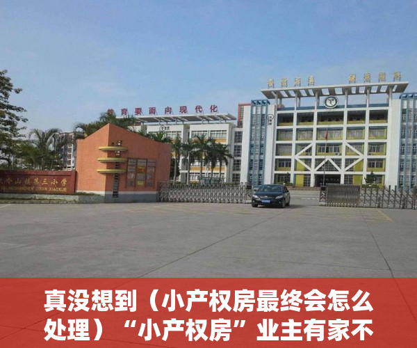 真没想到（小产权房最终会怎么处理）“小产权房”业主有家不能回！痛苦维权无人理，小产权房问题解决，