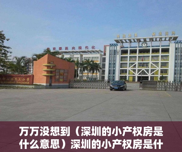 万万没想到（深圳的小产权房是什么意思）深圳的小产权房是什么！？，深圳的小产权房是什么样的，