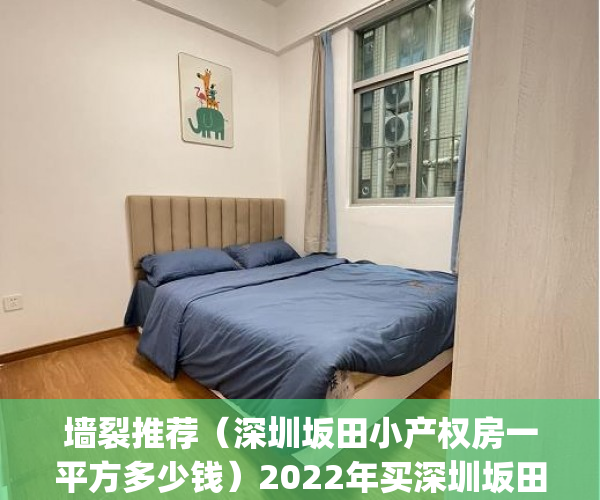 墙裂推荐（深圳坂田小产权房一平方多少钱）2022年买深圳坂田小产权房需要注意哪几个问题？(坂田小产权房哪里较好)，坂田小产权房怎么看，