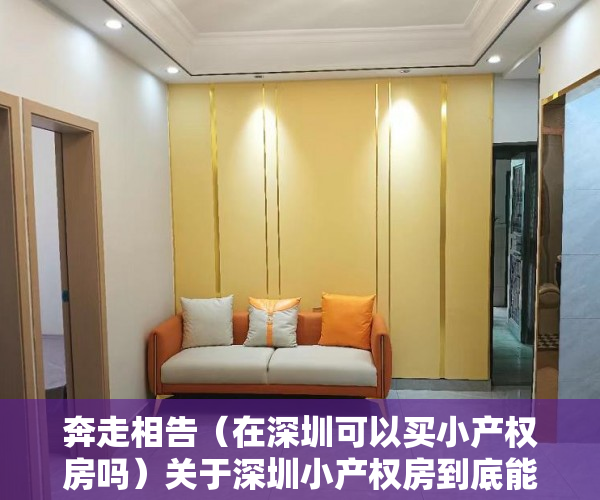 奔走相告（在深圳可以买小产权房吗）关于深圳小产权房到底能不能买的问题！，有深圳小产权房还可以买安居房吗知乎，