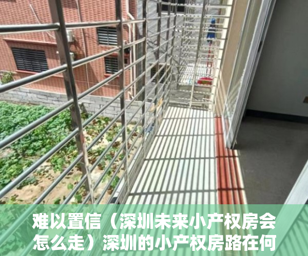 难以置信（深圳未来小产权房会怎么走）深圳的小产权房路在何方？，深圳小产权房在哪里有房源，