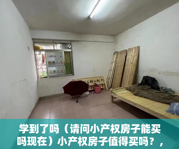 学到了吗（请问小产权房子能买吗现在）小产权房子值得买吗？，请问小产权房子能买吗多少钱，