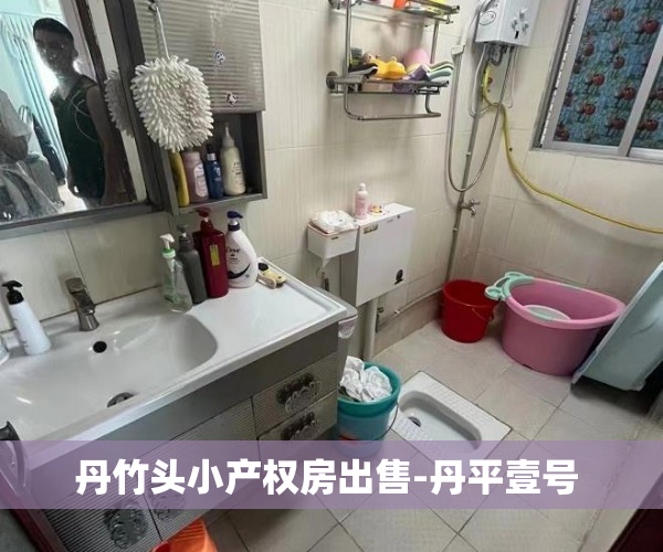 丹竹头小产权房出售-丹平壹号 