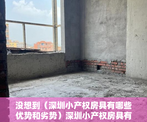 没想到（深圳小产权房具有哪些优势和劣势）深圳小产权房具有哪些优势？，深圳小产权房具有哪些优势条件，