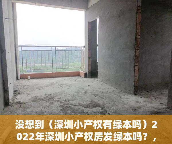 没想到（深圳小产权有绿本吗）2022年深圳小产权房发绿本吗？，深圳有绿本房产证能买红本商品房吗，