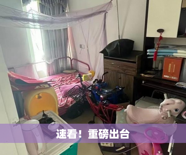 速看！重磅出台