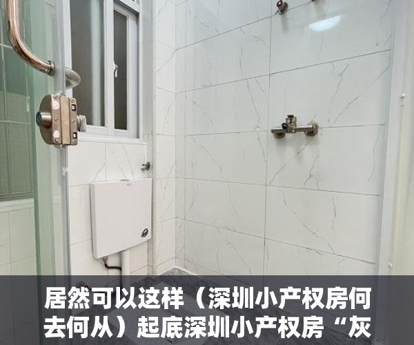 居然可以这样（深圳小产权房何去何从）起底深圳小产权房“灰色”交易链 有中介两个月完成全年业绩指标，深圳现在小产权房买了以后有风险吗，