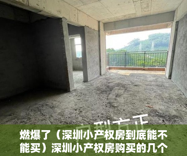 燃爆了（深圳小产权房到底能不能买）深圳小产权房购买的几个途径和技巧，深圳什么样的小产权房可以买，