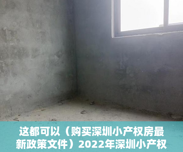 这都可以（购买深圳小产权房最新政策文件）2022年深圳小产权房购买注意事项，深圳小产权房的最新政策，
