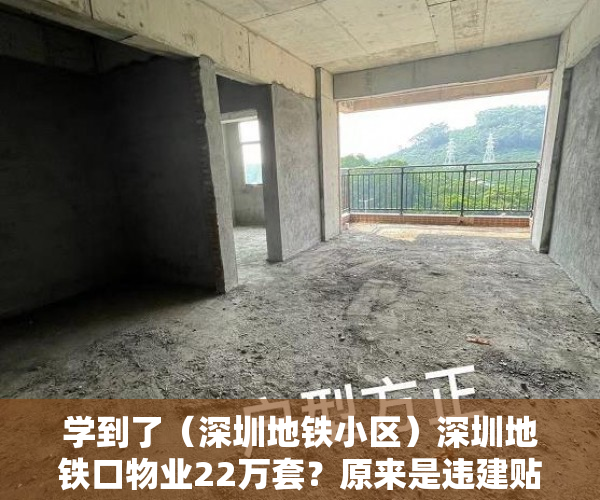 学到了（深圳地铁小区）深圳地铁口物业22万套？原来是违建贴牌小产权房，深圳地铁业主，