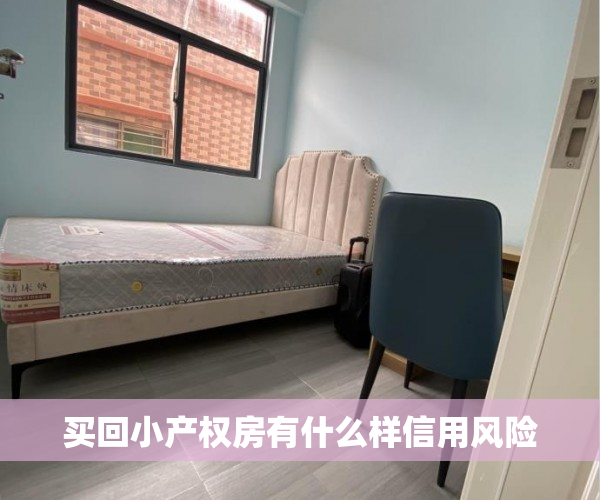 买回小产权房有什么样信用风险