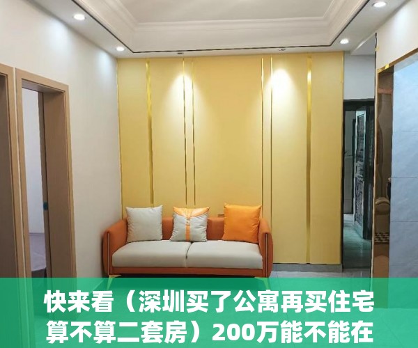 快来看（深圳买了公寓再买住宅算不算二套房）200万能不能在深圳的买个住宅两房？(首套拒绝公寓，永不考虑小产权)？，深圳买公寓要求，