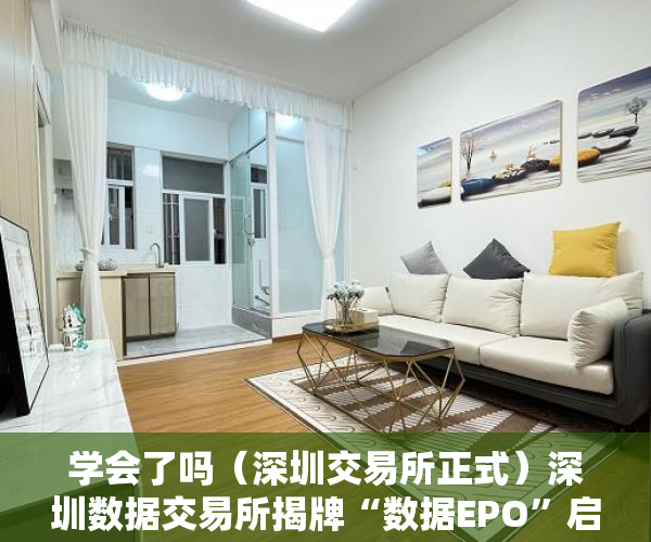 学会了吗（深圳交易所正式）深圳数据交易所揭牌“数据EPO”启动，深圳数字交易所，