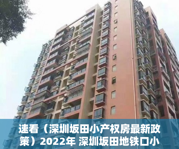 速看（深圳坂田小产权房最新政策）2022年 深圳坂田地铁口小产权房看房之旅总体满意，坂田小产权房的发展，