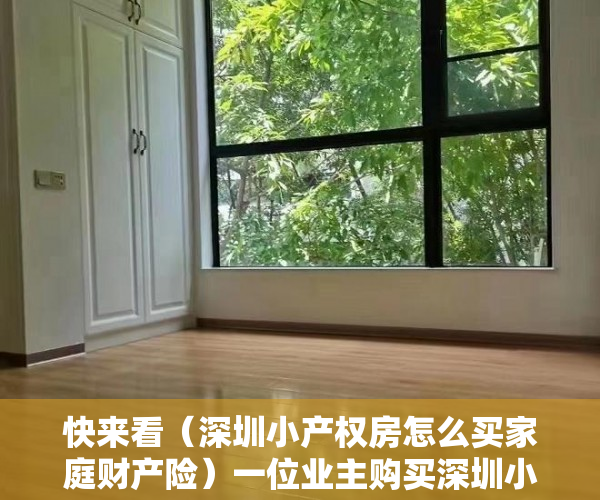 快来看（深圳小产权房怎么买家庭财产险）一位业主购买深圳小产权房的经验分享，深圳小产权房怎么买最划算，