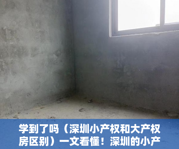 学到了吗（深圳小产权和大产权房区别）一文看懂！深圳的小产权房分多少类？每一类又怎么细分？，深圳小产权类型，