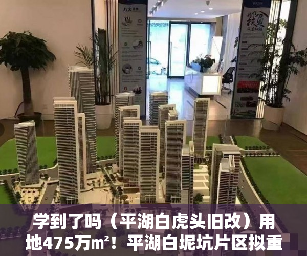 学到了吗（平湖白虎头旧改）用地475万㎡！平湖白坭坑片区拟重建为住宅+学校+医院｜深圳楼市早7条，平湖大街旧改，