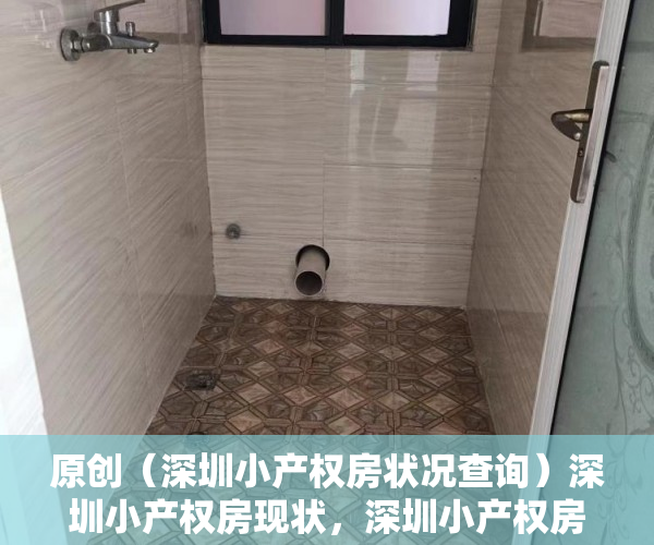 原创（深圳小产权房状况查询）深圳小产权房现状，深圳小产权房最新情况，