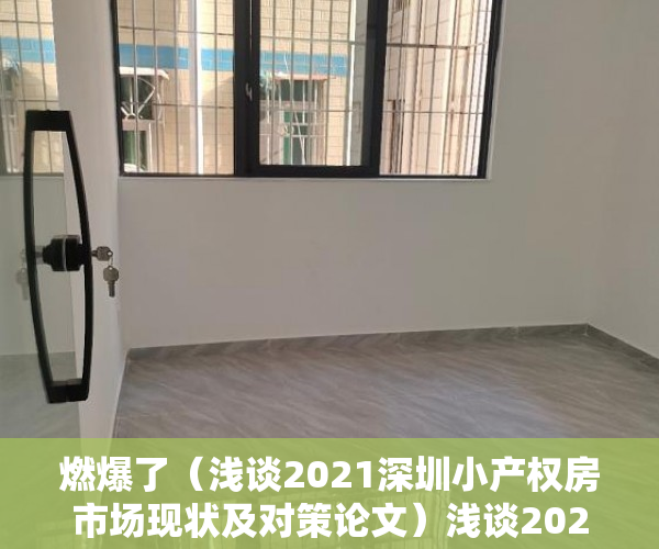 燃爆了（浅谈2021深圳小产权房市场现状及对策论文）浅谈2021深圳小产权房市场现状。，浅谈2021深圳小产权房市场现状及对策研究，