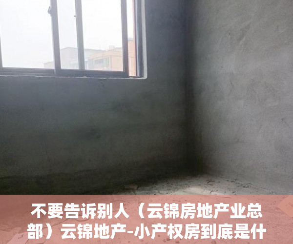 不要告诉别人（云锦房地产业总部）云锦地产-小产权房到底是什么？？，锦尚云天是属于啥房，