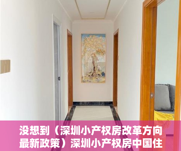 没想到（深圳小产权房改革方向最新政策）深圳小产权房中国住房制度改革，深圳出台小产权房国有化政策，