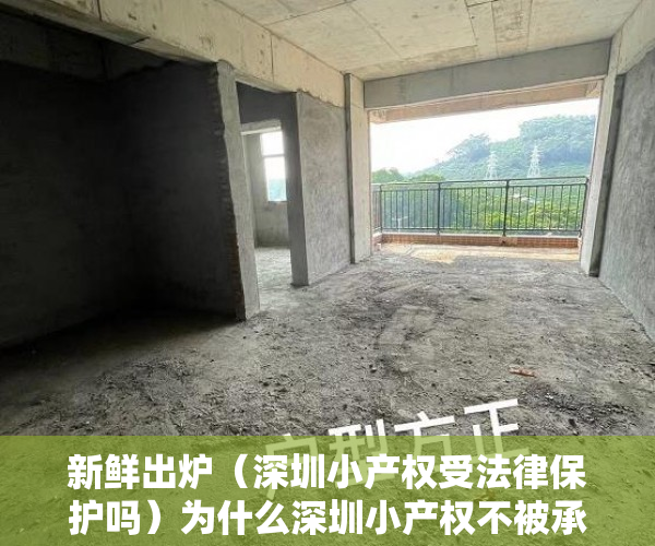 新鲜出炉（深圳小产权受法律保护吗）为什么深圳小产权不被承认 还依然存在的原因，深圳小产权卖不出去，