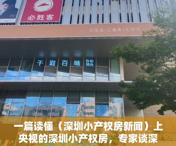 一篇读懂（深圳小产权房新闻）上央视的深圳小产权房，专家谈深圳小产权房的未来，