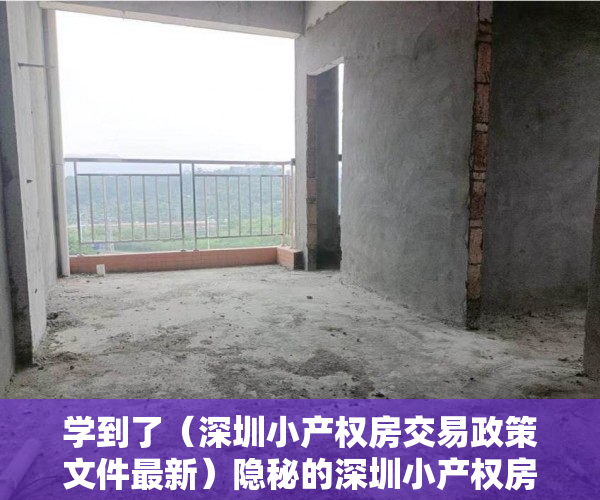学到了（深圳小产权房交易政策文件最新）隐秘的深圳小产权房交易市场，深圳小产权房交易政策文件解读，