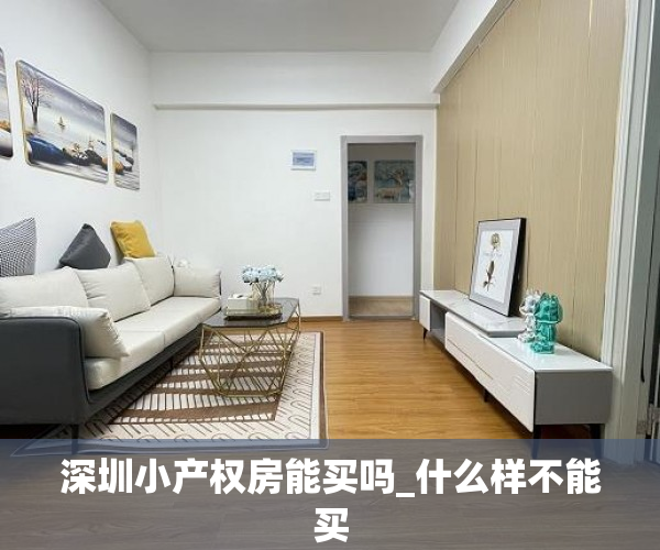 深圳小产权房能买吗_什么样不能买