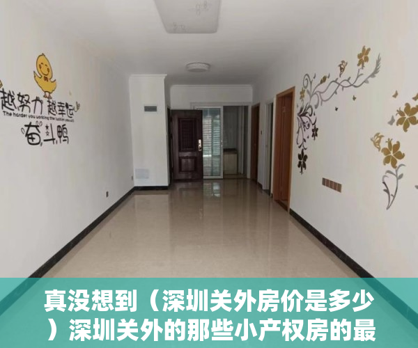 真没想到（深圳关外房价是多少）深圳关外的那些小产权房的最终命运会如何？，深圳关外房价是多少钱，