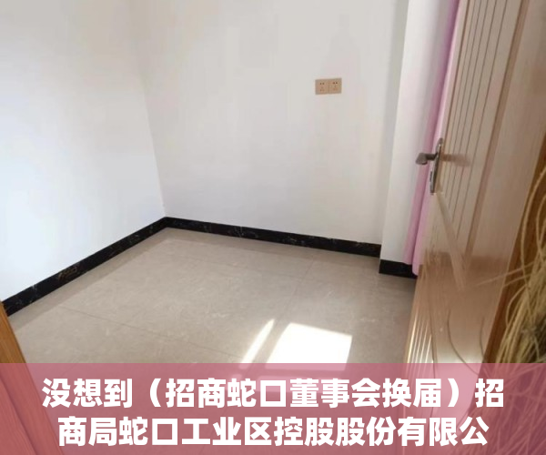 没想到（招商蛇口董事会换届）招商局蛇口工业区控股股份有限公司 第二届董事会2020年第十五次临时会议决议公告，招商蛇口董事会成员，