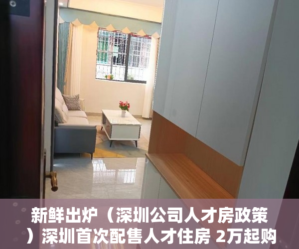 新鲜出炉（深圳公司人才房政策）深圳首次配售人才住房 2万起购，深圳企业人才房配售条件要求，