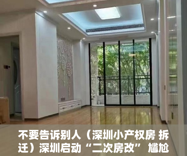 不要告诉别人（深圳小产权房 拆迁）深圳启动“二次房改” 尴尬的小产权房何去何从，深圳小产权房拆迁补偿标准，