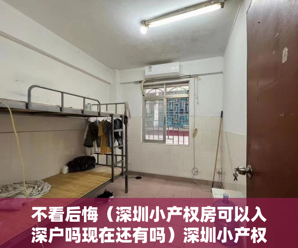 不看后悔（深圳小产权房可以入深户吗现在还有吗）深圳小产权房可以上户口吗，在深圳买了小产权房可以入户吗，