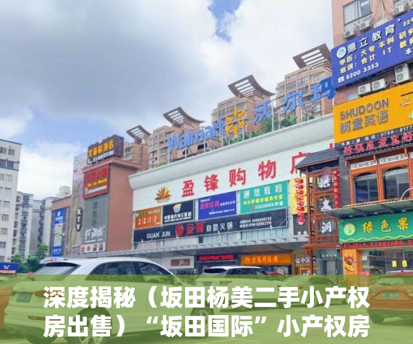 深度揭秘（坂田杨美二手小产权房出售）“坂田国际”小产权房公开叫卖，坂田杨美房价，