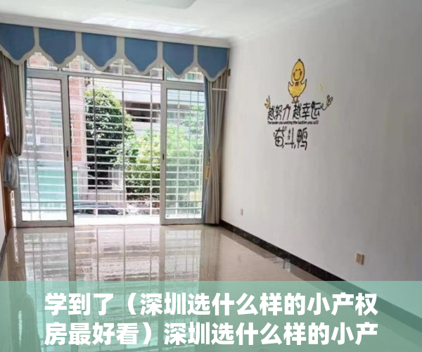 学到了（深圳选什么样的小产权房最好看）深圳选什么样的小产权房最好，深圳有哪些比较好的小产权房，