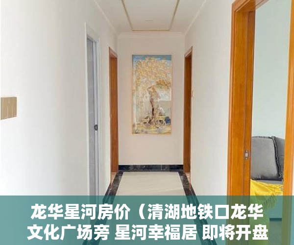 龙华星河房价（清湖地铁口龙华文化广场旁 星河幸福居 即将开盘 ）东莞小产权房屋怎么办，