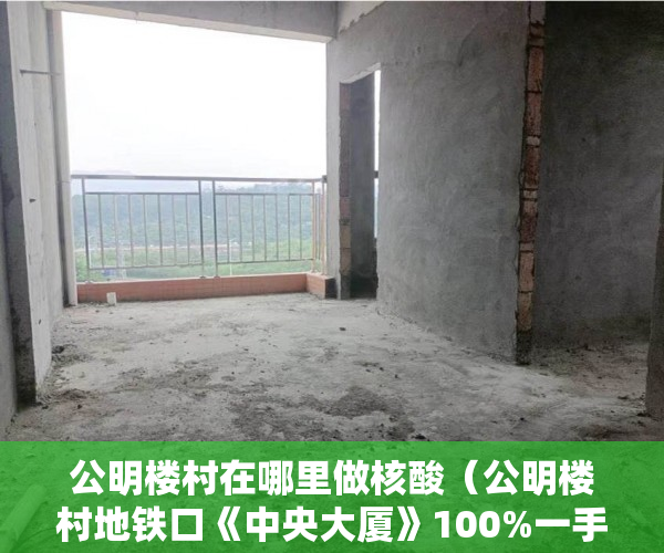 公明楼村在哪里做核酸（公明楼村地铁口《中央大厦》100%一手房）小产权房多久上市，