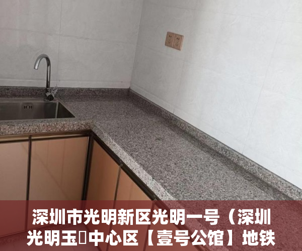 深圳市光明新区光明一号（深圳光明玉侓中心区【壹号公馆】地铁口400米豪装公寓 ）夫妻两人都是小产权房怎么办，