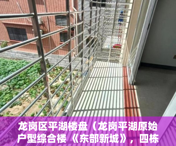 龙岗区平湖楼盘（龙岗平湖原始户型综合楼 《东部新城》，四栋花园小区！ ）市小产权房怎么样，