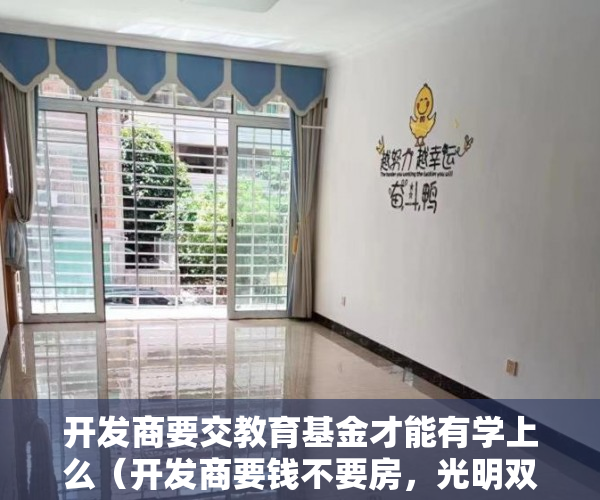 开发商要交教育基金才能有学上么（开发商要钱不要房，光明双子座，全场六折 ）海口小产权房怎么上学，