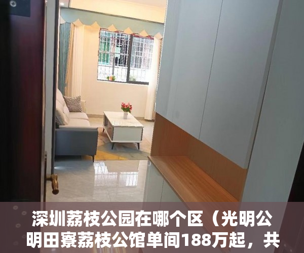 深圳荔枝公园在哪个区（光明公明田寮荔枝公馆单间188万起，共推出几十套 ）小产权房可以住多久，