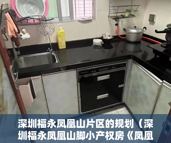 深圳福永凤凰山片区的规划（深圳福永凤凰山脚小产权房《凤凰雅居》无敌风景区 ）在建小产权房多久没开工，